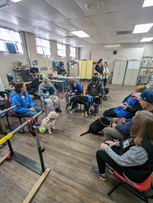 De-Stress Day with therapy dogs from the San Diego Humane Society!