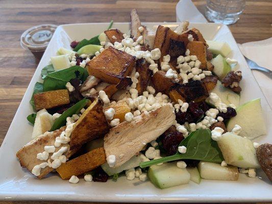 Harvest salad with chicken.