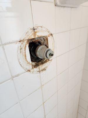 New shower valve cartridges installed!