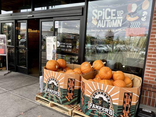 Seasonal stuff on display in the front