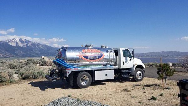 MT Rose back drop