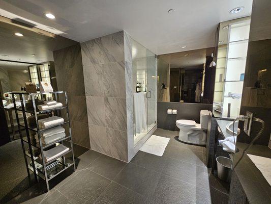 Suite bathroom