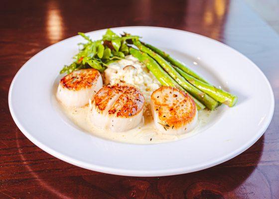 Scallops