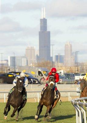 Hawthorne Race Course