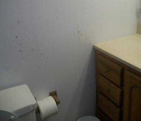 Mold Damage is highly likely to appear in a bathroom because of all of the moisture in the air...