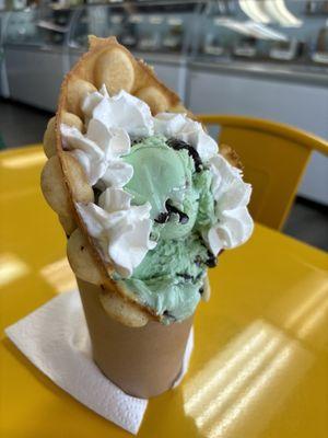 Mint chocolate chip ice cream in a Bubble waffle cone with whip cream.