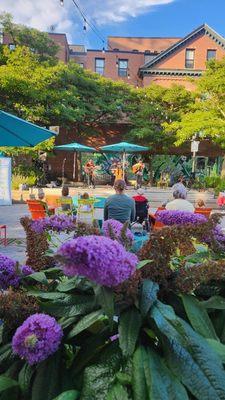 Darlin' Corey playing a concert on this delightful summer evening!