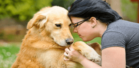 Honoring the companion animal bond.