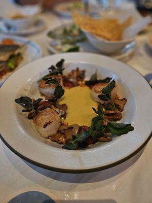 Scallops and mushrooms