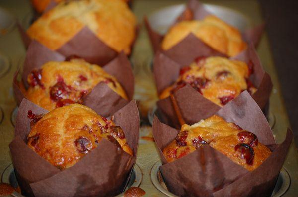 Freshly baked muffins each morning