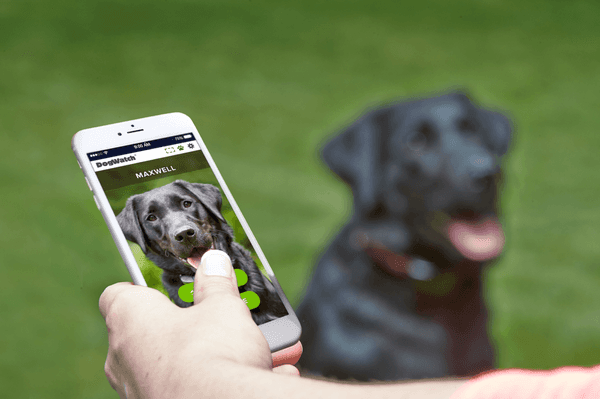 The SmartFence App - The Next Generation of Pet Fencing.