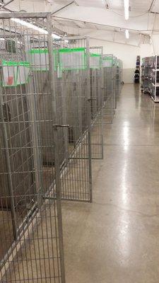 Come in to adopt and keep the kennels empty!!