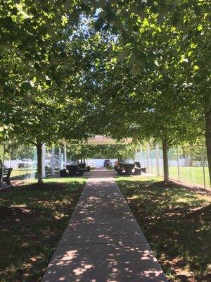 Area between the play areas with shade and picnic tables