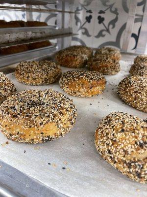 Introducing...the everything bagel