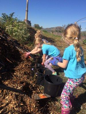 Our Honeycomb Families had a productive work session weeding hoop houses, saving sunflower seeds, and getting to plant some kale seeds.