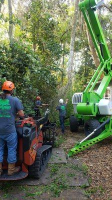 Removing vines for tree removal