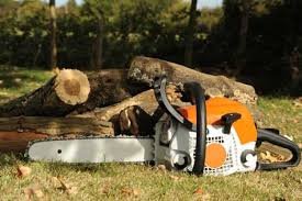 A&A Tree Service & Landscaping