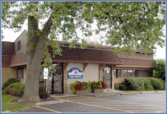 Palatine Animal Hospital