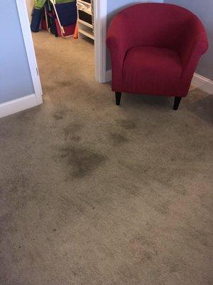 Dirty carpet