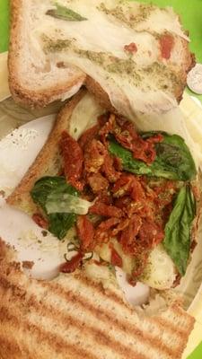 A handful of sun dried tomatoes & crusty old basil on a Caprese sandwich. Gross.