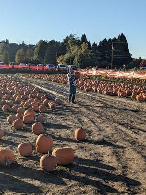 Pumpkin picking!