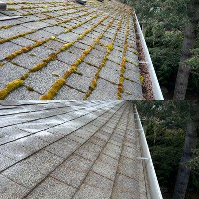 Our gentle roof cleaning and treatment approach will add years of life to your roof!