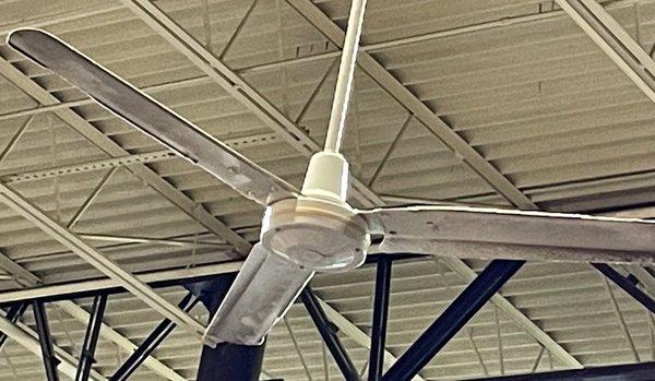 Gross dust hanging from ceiling fans over the main floor