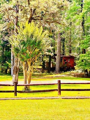 "Little red caboose in the woods" OuiOui.