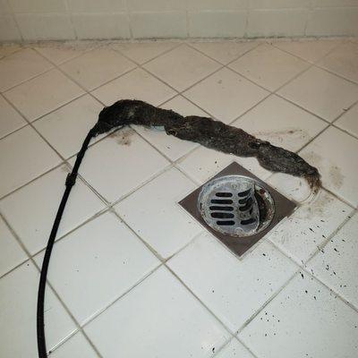 This will definitely be the death of your drains and possibly floors!