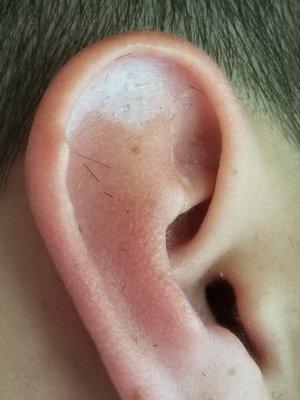 Terrible experience!! Met my husband after his haircut and found he had lots of hair product in his ear. Very disappointed!