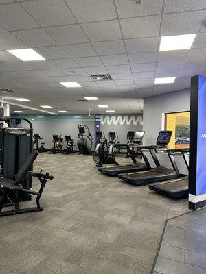 Gym treadmills and bicycles, stair master