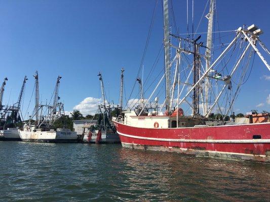 Shrimp Boats at Erickson and Jensen.