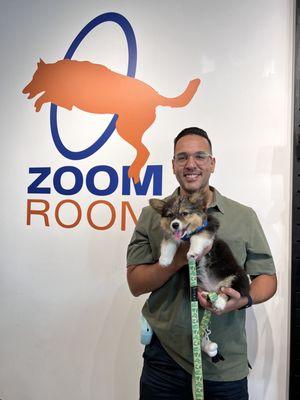 Zoom Room Dog Training