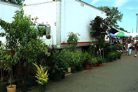 fruit trees