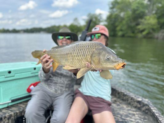 14.5 # Carp on a dry cicada fly. Way to go Hannah!