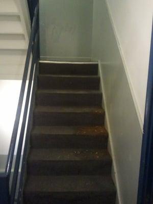 On the 12th day of Christmas, Brownstone gave to me: Puke soaked hallway carpet.... left for two days.