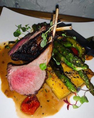 New Zealand Rack of Lamb