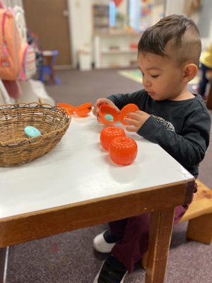 Montessori School At Five Canyons