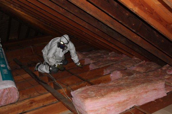 New Attic Insulation