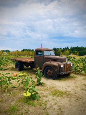 Old truck in the middle of the fields. Perfect if you want to take pics of the kids or families with it. Nice touch!