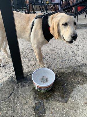 Layla with her ice water