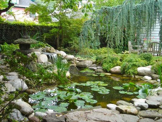 Waterfall Water Feature Pond by Acorn Landscaping, Certified Aquascape Contractor of Rochester NY