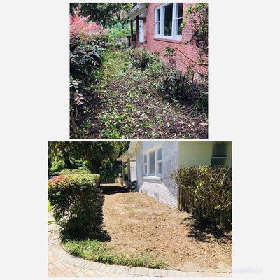 Shrub Removal and Clean up