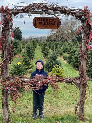 Yetter Road Christmas Tree Farm