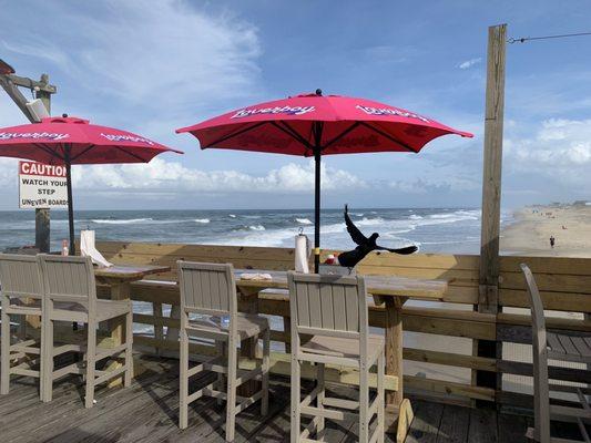 View from our table on the pier. Yes that's a bird flying away!