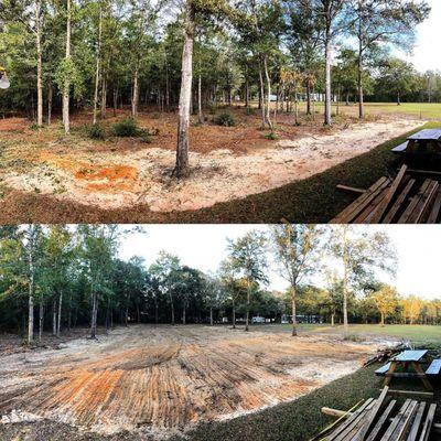 land clearing before & after