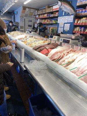 Rainbow Fish Market