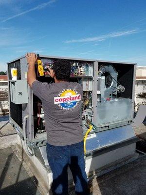 Final controls set up of 3 new Carrier AC systems.