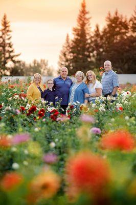 Swan Island Dahlias