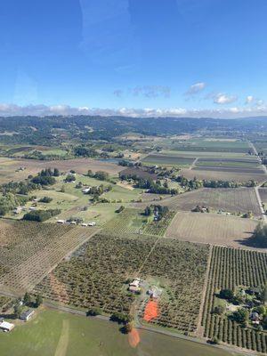 View from helicopter flying in the Willamette Valley